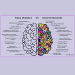 Adolescent Brain Development and Growth Mindset