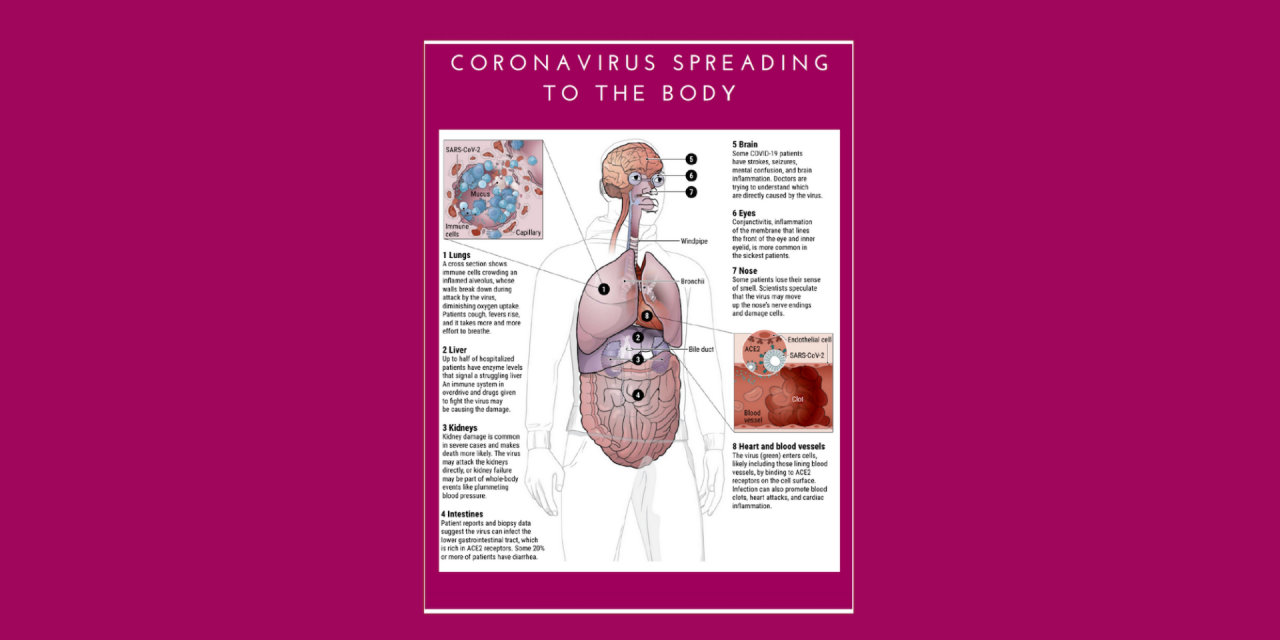 How Does Coronavirus Affect the Brain?