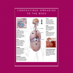 How Does Coronavirus Affect the Brain?