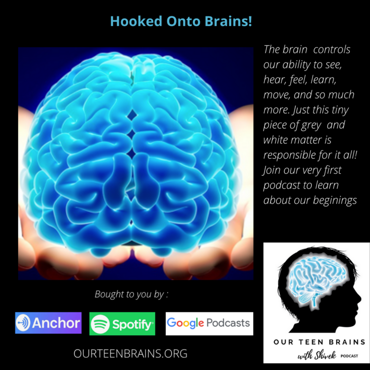 EPISODE 1 – Hooked Onto Brains!