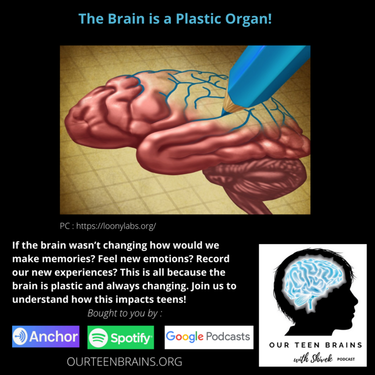 EPISODE 4 – The Brain is a plastic organ.