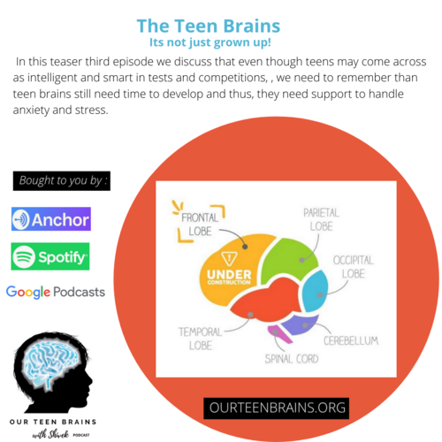 EPISODE 2 – The Teen Brain : It’s not just grown up!