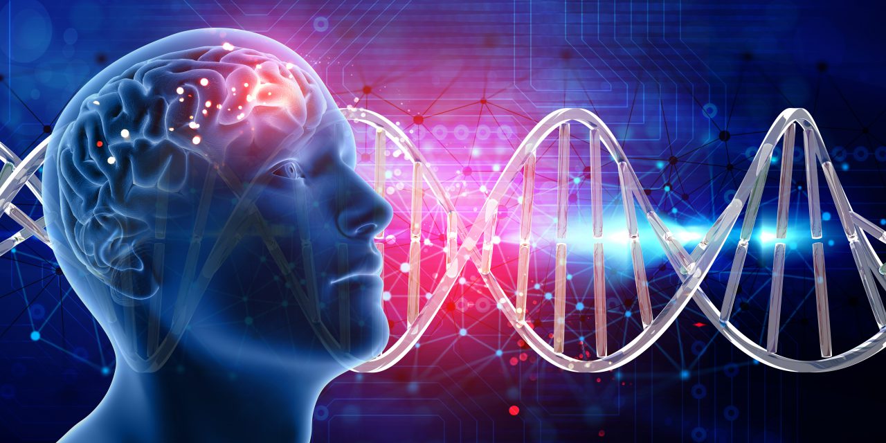 Genetics and Brain Development