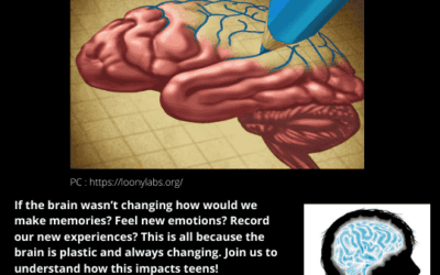 EPISODE 4 – The Brain is a plastic organ.