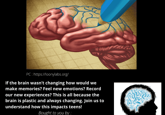 EPISODE 4 – The Brain is a plastic organ.