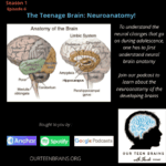 EPISODE 6 – The Teenage Brain: Neuroanatomy!